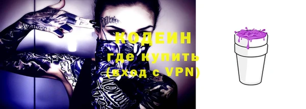 прущие крисы Заводоуковск