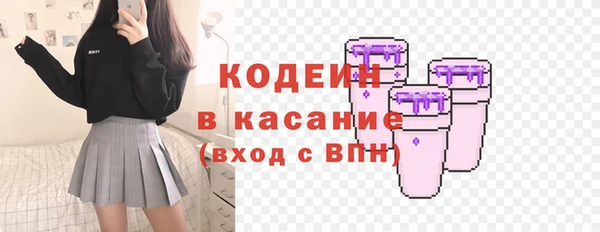 ГАЛЛЮЦИНОГЕННЫЕ ГРИБЫ Рославль