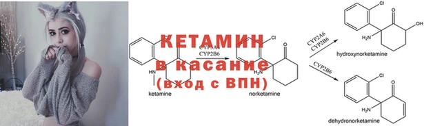 СК Заволжье
