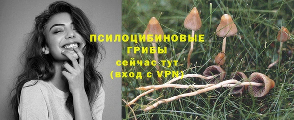 альфа пвп Зеленокумск