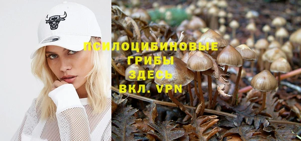 СК Заволжье