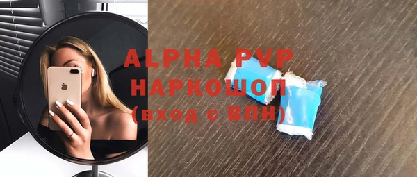 ГАЛЛЮЦИНОГЕННЫЕ ГРИБЫ Рославль